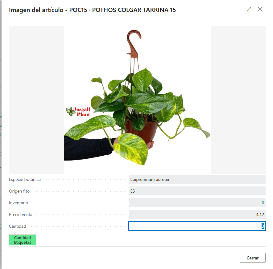 Ficha POC15 POTHOS colgar tarrina 15
