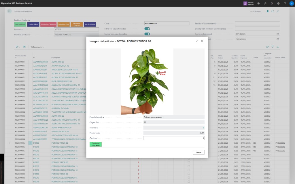 Ficha POT80 POTHOS tutor 80