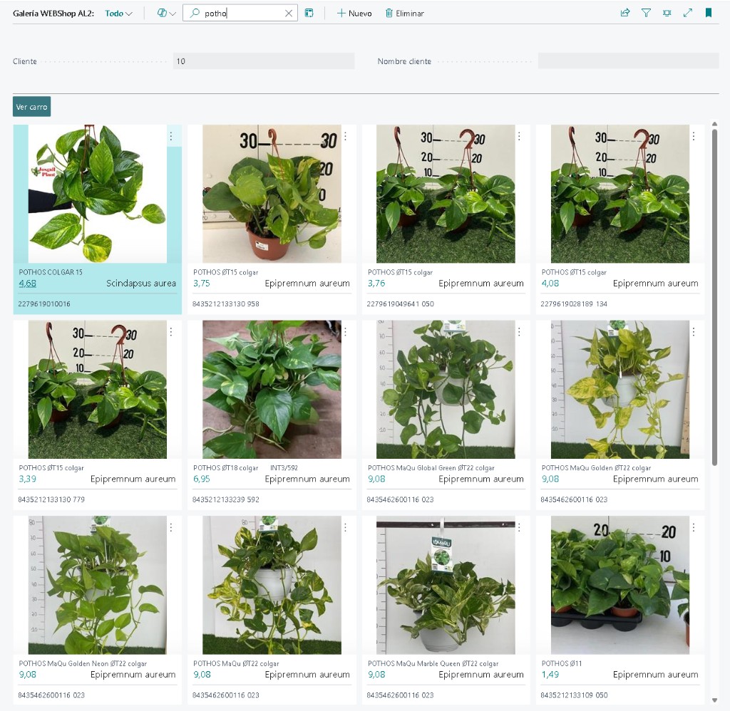 Galería WEBShop filtrada por potho
