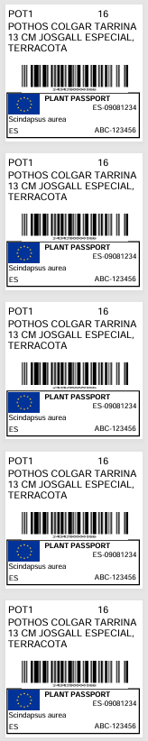 Tira de etiquetas 40x40 de POT1: Pothos colgar, código de barras y Plant Passport